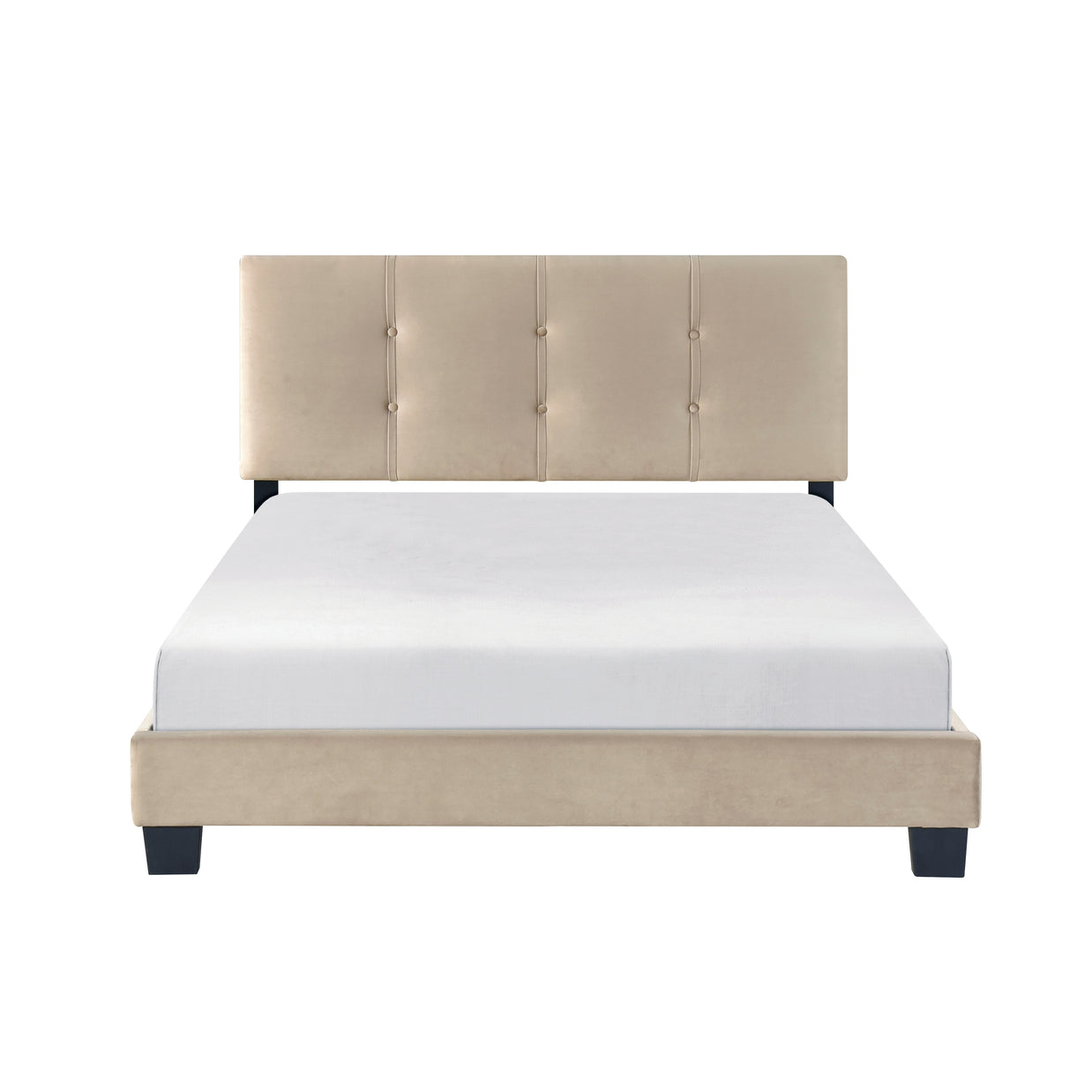 Velvet Upholstered Full Bed Frame with Button-Tufted Headboard