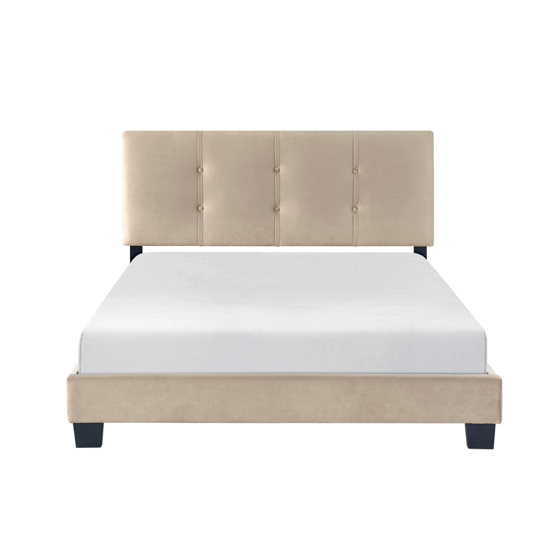 Velvet Upholstered Full Bed Frame with Button-Tufted Headboard