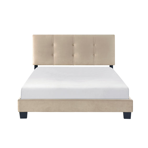 Velvet Upholstered Full Bed Frame with Button-Tufted Headboard