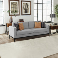 Modern Light Gray Sofa