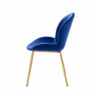 Glam Velvet & Gold Dining Chair Set