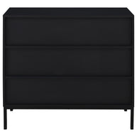 2-Door Black Accent Cabinet