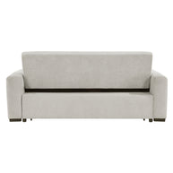 Light Gray Convertible Sleeper Sofa