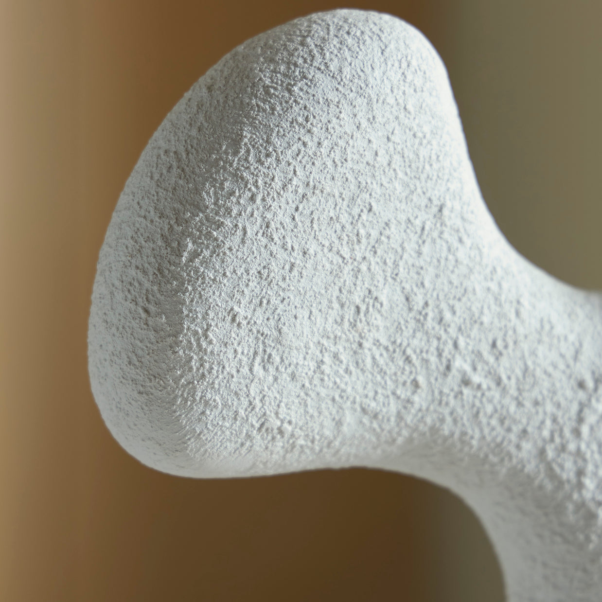 Organic Abstract Sculpture with Wood Base