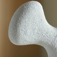 Organic Abstract Sculpture with Wood Base