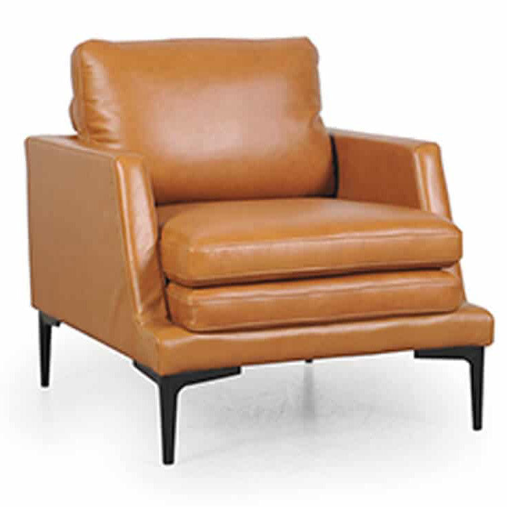 Contemporary Top-Grain Leather Accent Chair