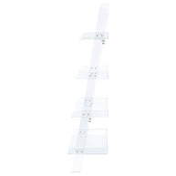 Clear Acrylic Ladder Bookshelf