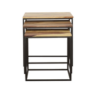 Contemporary Natural & Metal Nesting Tables