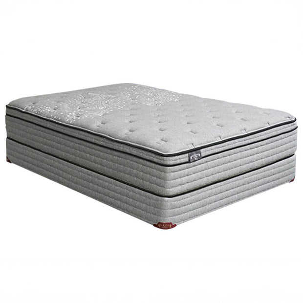 Plush 14″ Queen Gel Infused Memory Foam & Premium Latex Mattress