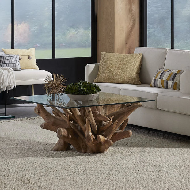 Root Glass Top Coffee Table