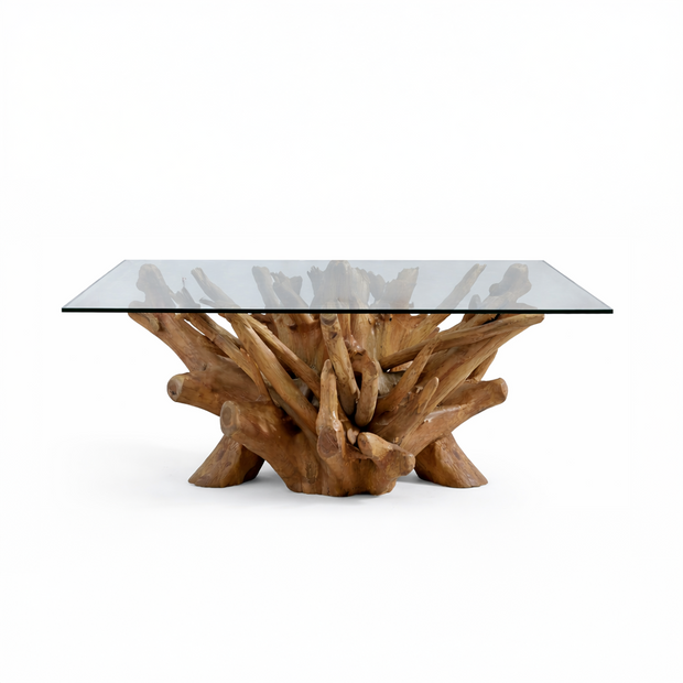 Root Glass Top Coffee Table