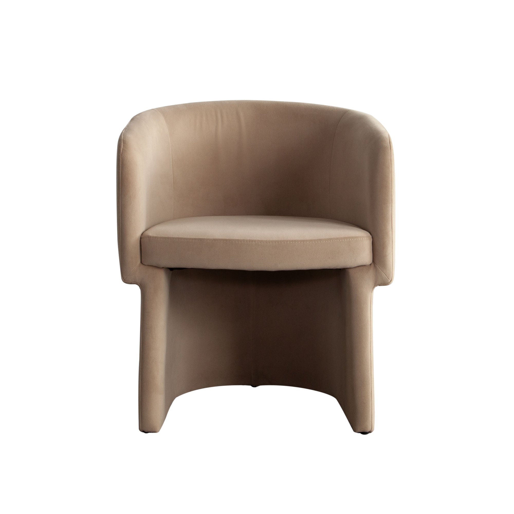 Modern Barrel Dining Chair (Set of 2)