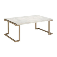 Faux Marble & Metal Coffee Table