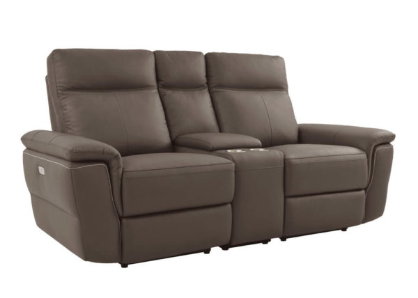 Contemporary Top Grain Leather Recliner Loveseat