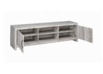 2-Door Gray Driftwood TV Stand