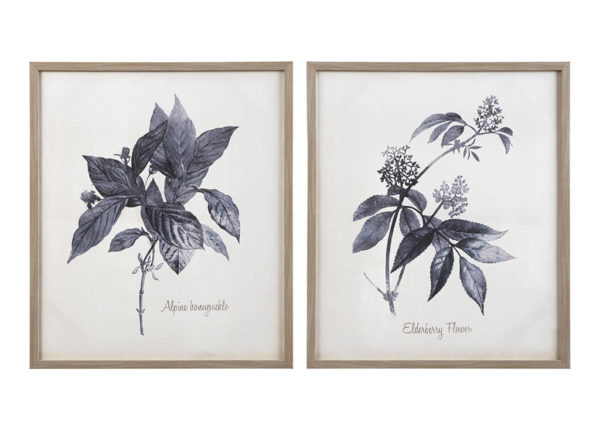 Blue & Tan Framed Botanical Wall Art Set