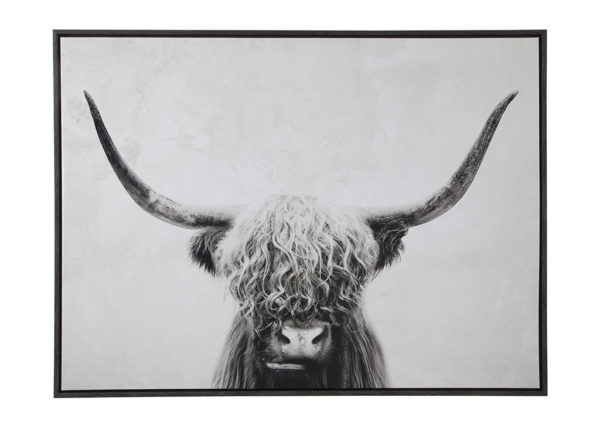 Highland Cow Wall Art