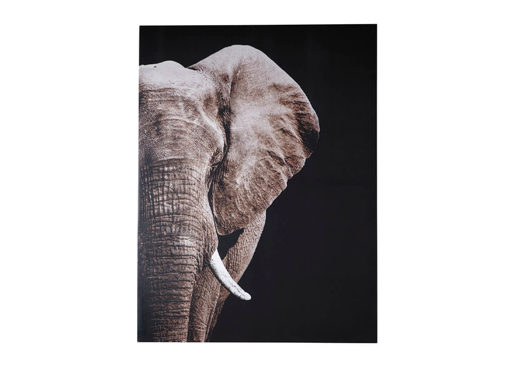 Unframed Elephant Wall Art