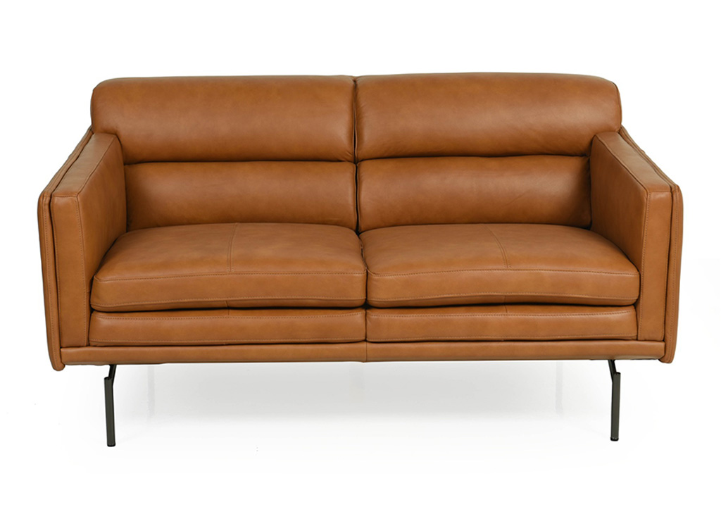 Front Facing Biscuit Back Top Grain Leather Sofa