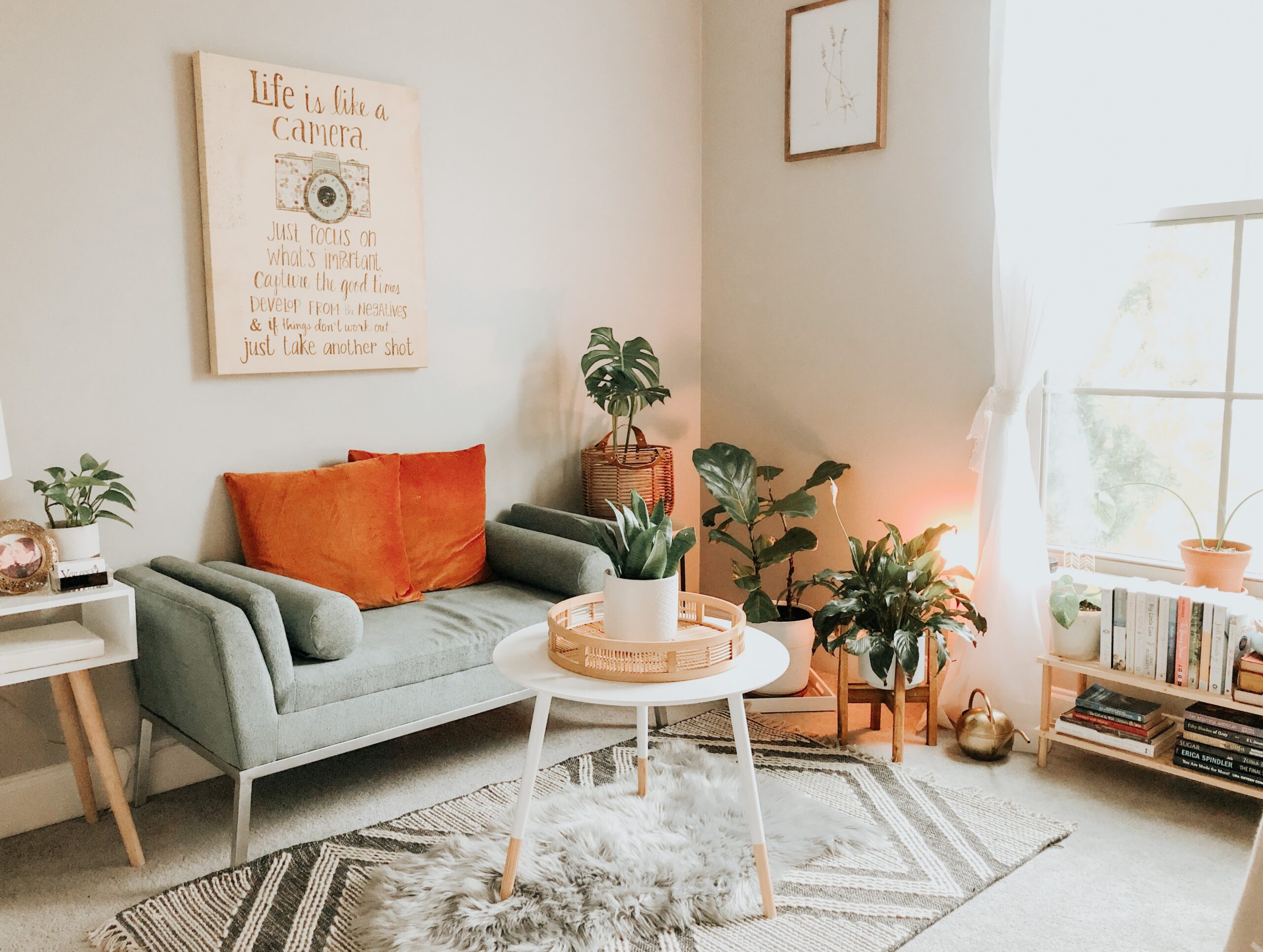 Small living room with many plants and a small green sofa
