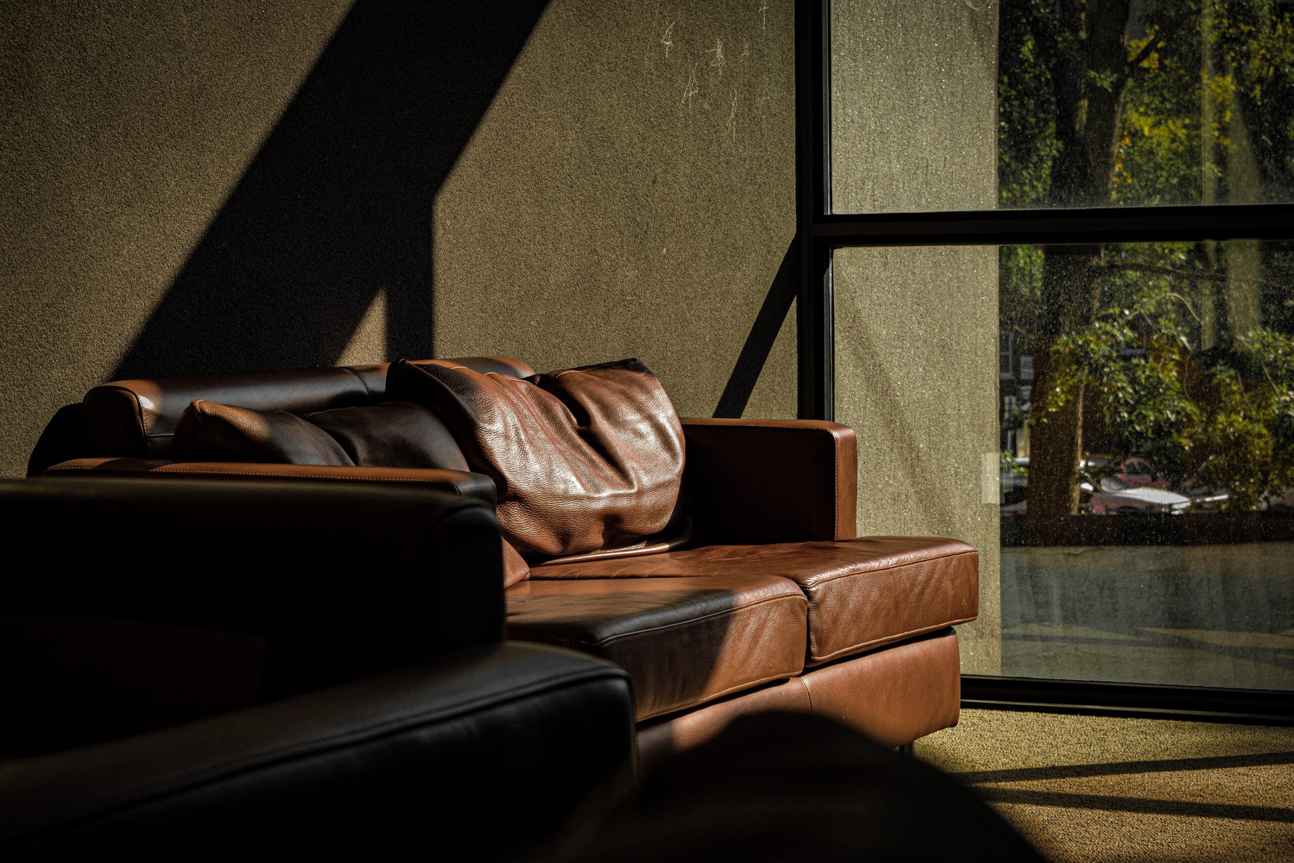 Brown leather couch half in the sun, half in shadow
